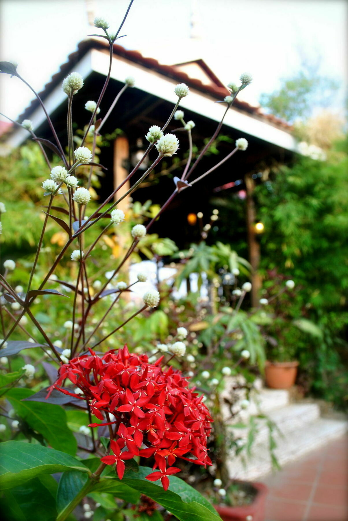 The River Lodge Kampot Εξωτερικό φωτογραφία